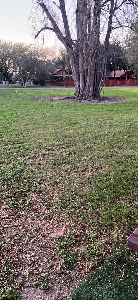 Trusted yard cleanup service in San Juan, TX by Johns Lawn Care