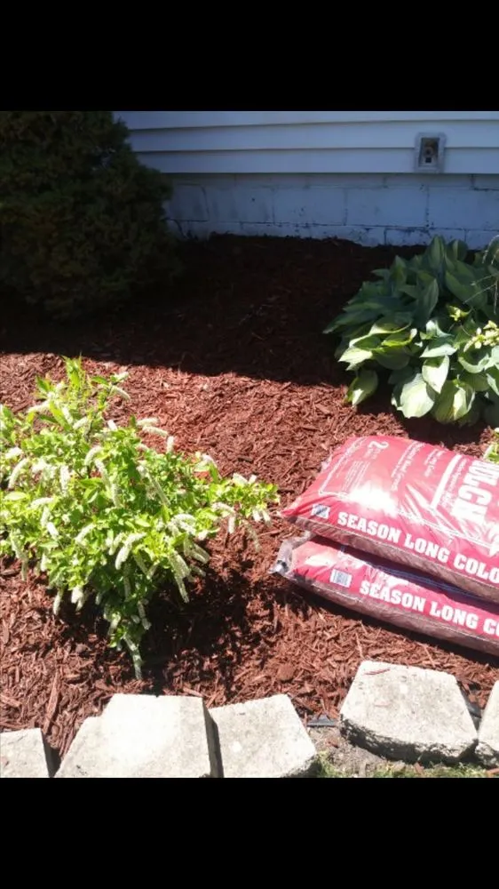 Expert yard maintenance for beautiful yards across Hammond, IN - John's Lawn Care Service