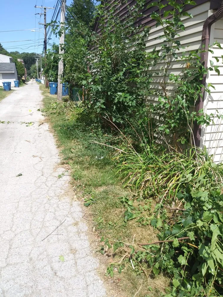 Affordable lawn care service near you in Hammond, IN by John's Lawn Care Service