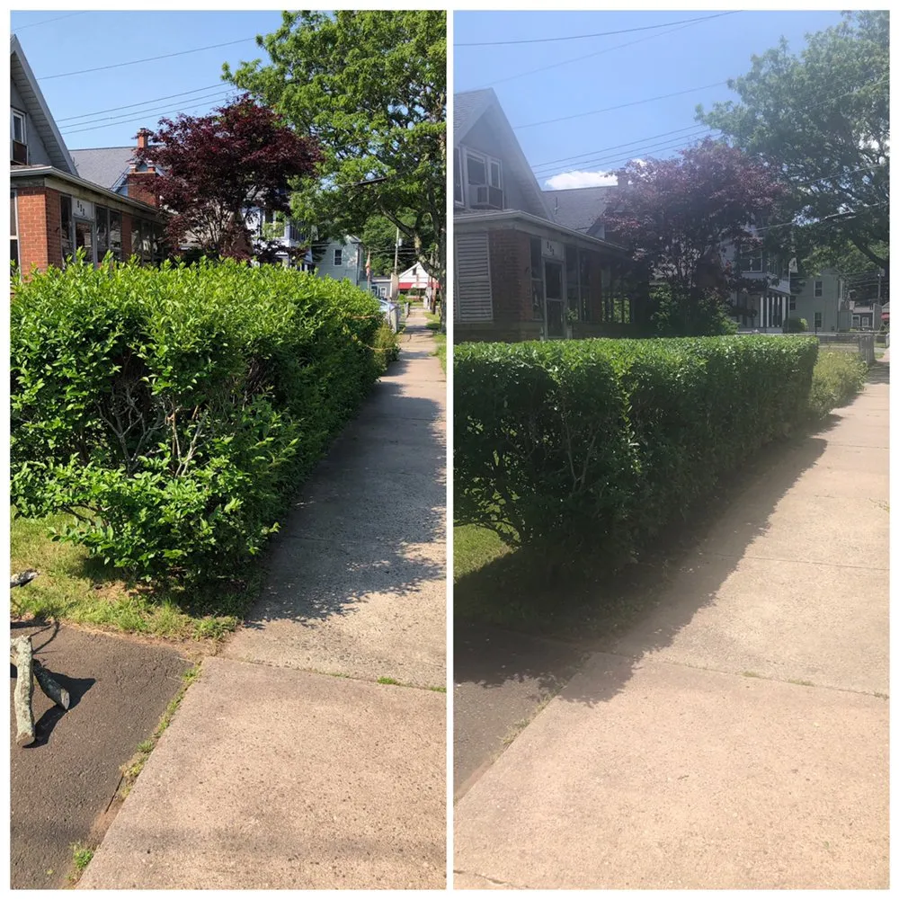 Local landscape installation for year-round maintenance in West Haven, CT by John’s Lawn Care