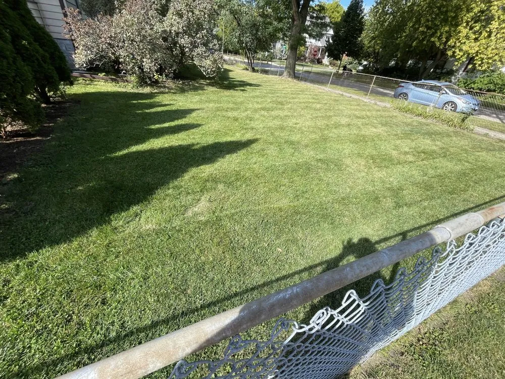 Local outdoor landscaping for homes in Brookfield, IL by John's Lawn Mowing