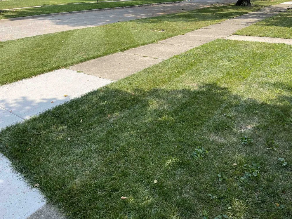 Expert outdoor landscaping for year-round maintenance in Brookfield, IL by John's Lawn Mowing