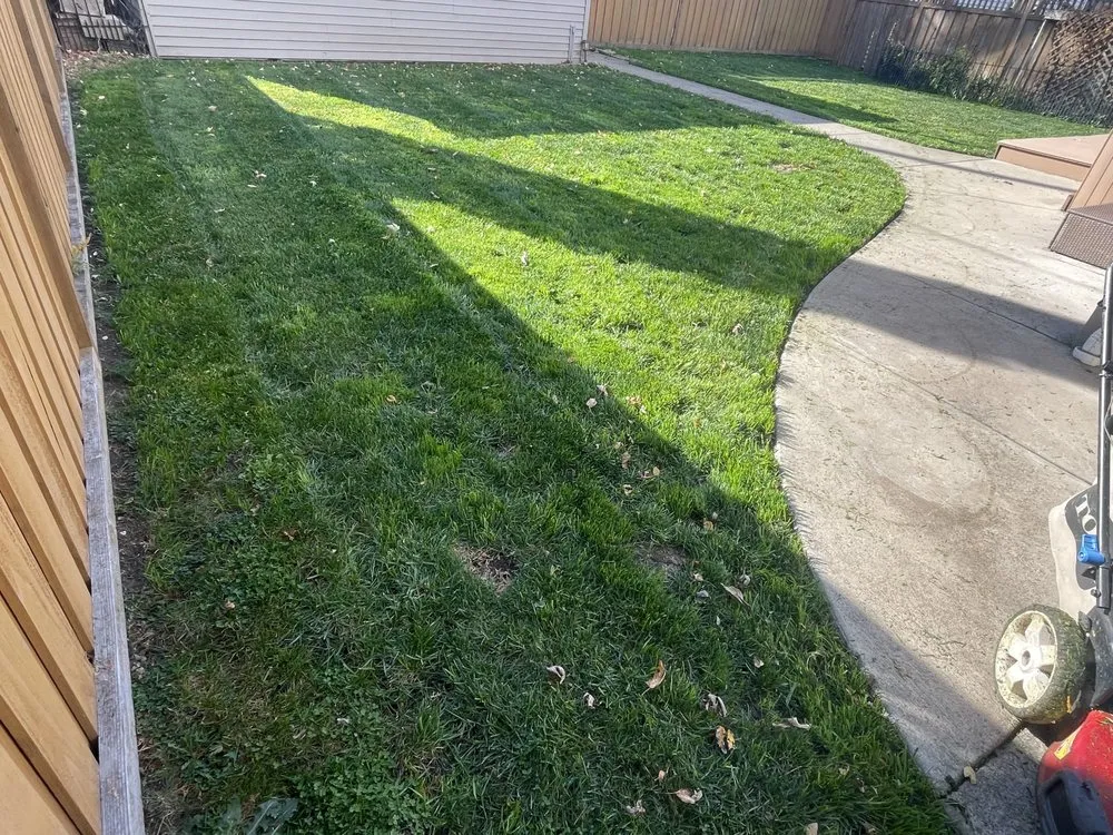 Reliable landscape design for beautiful yards in Brookfield, IL by John's Lawn Mowing