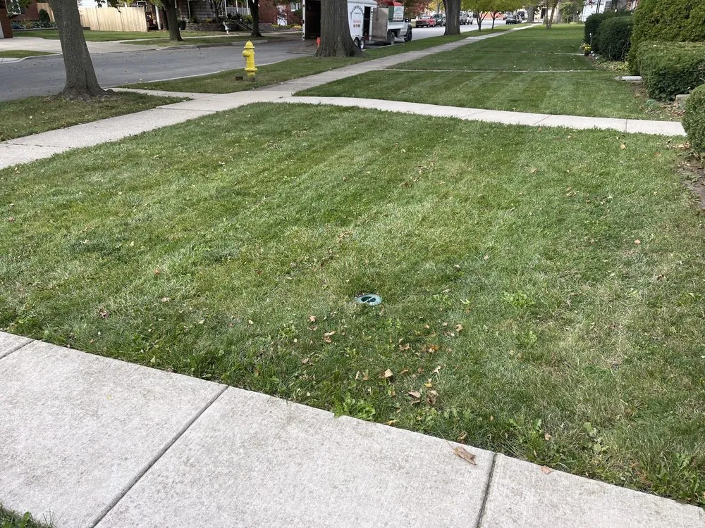 Expert yard cleanup service experts serving Brookfield, IL - John's Lawn Mowing