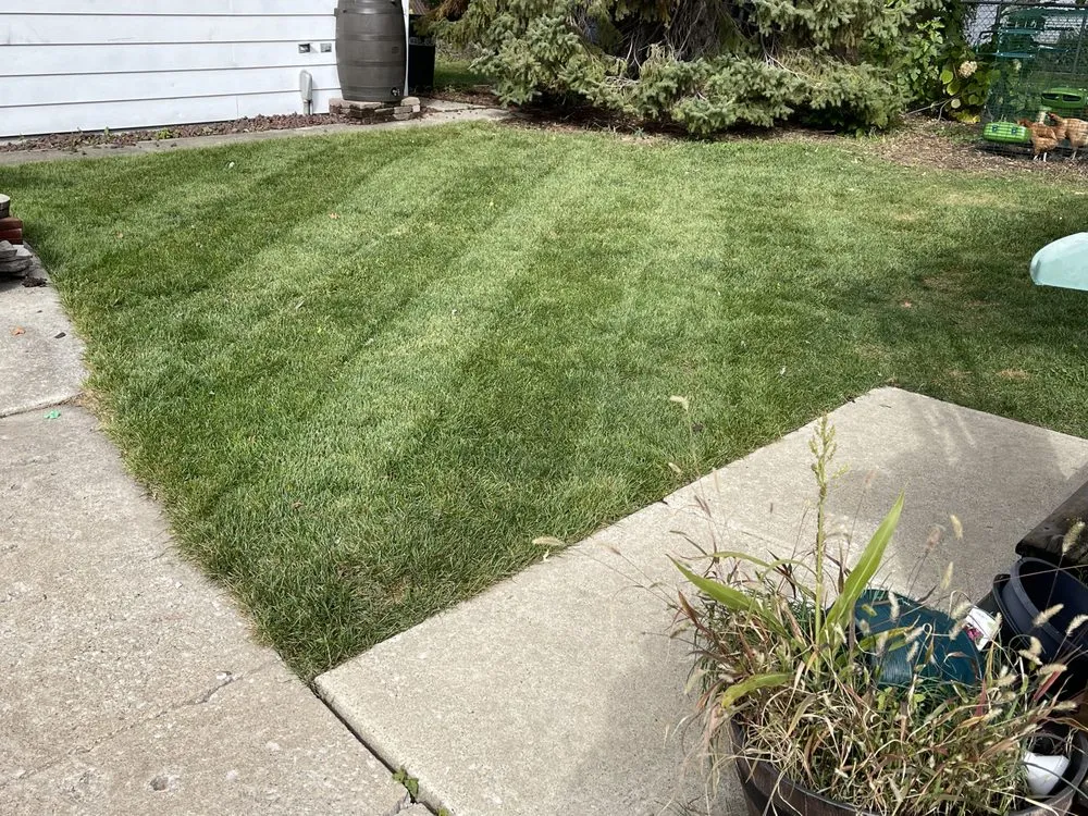 Professional outdoor landscaping in Brookfield, IL - John's Lawn Mowing