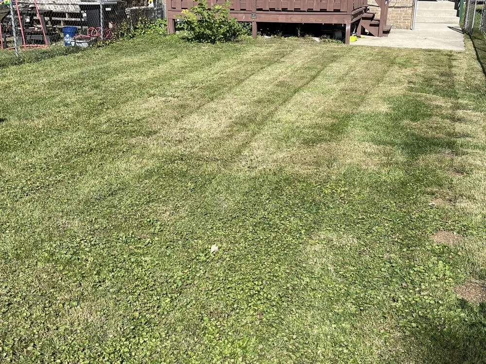 Top-rated residential landscaping for year-round maintenance in Brookfield, IL by John's Lawn Mowing