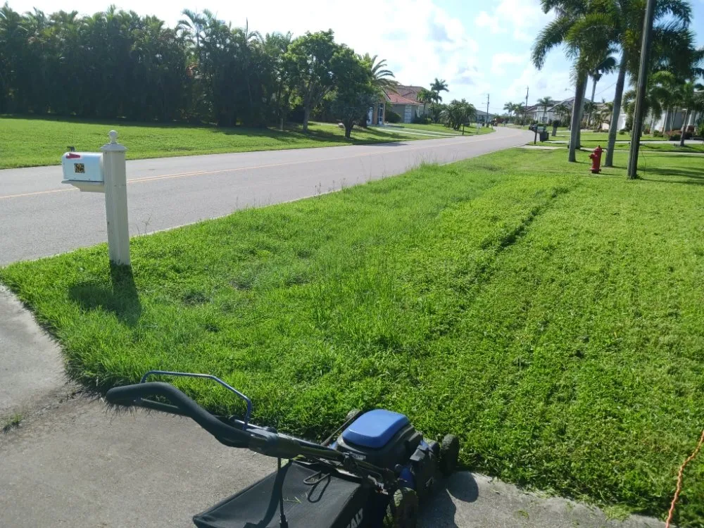 Affordable lawn care service in Port Charlotte, FL by John's Lawn Mowing