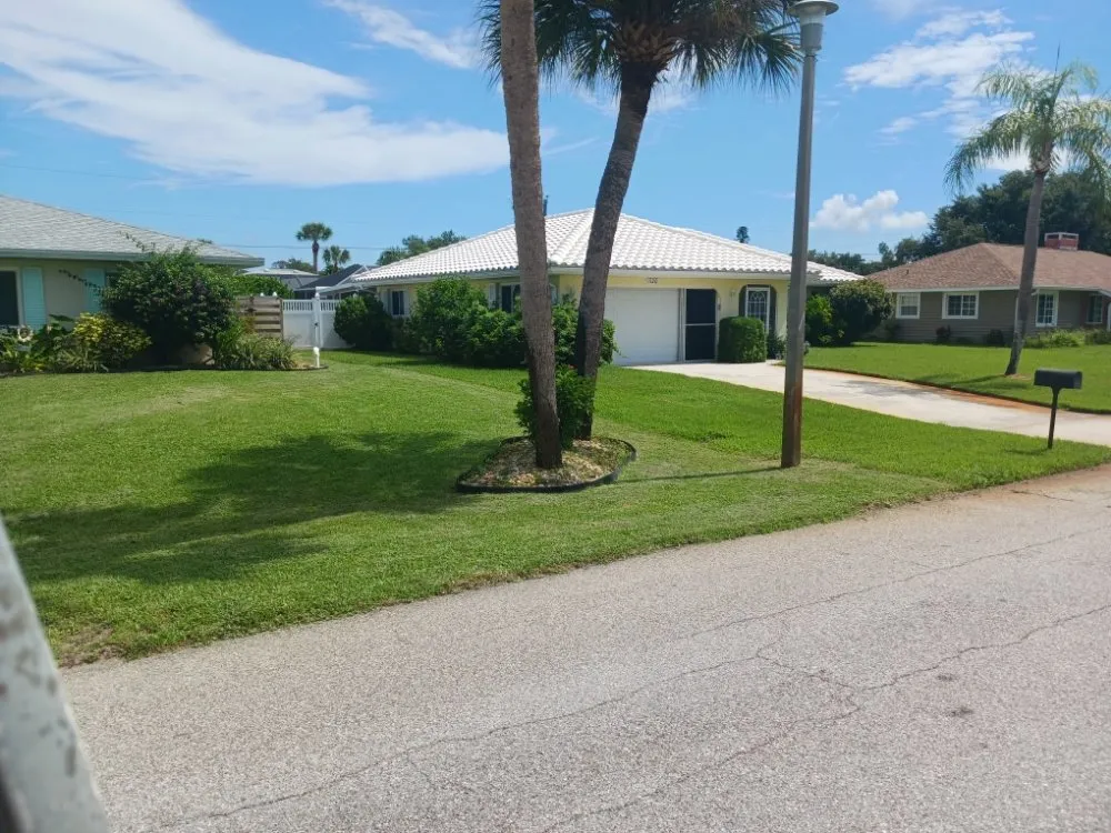 Affordable yard cleanup service in Port Charlotte, FL - John's Lawn Mowing