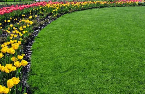 Local outdoor landscaping experts serving Harlingen, TX - John's Lawn Prescription
