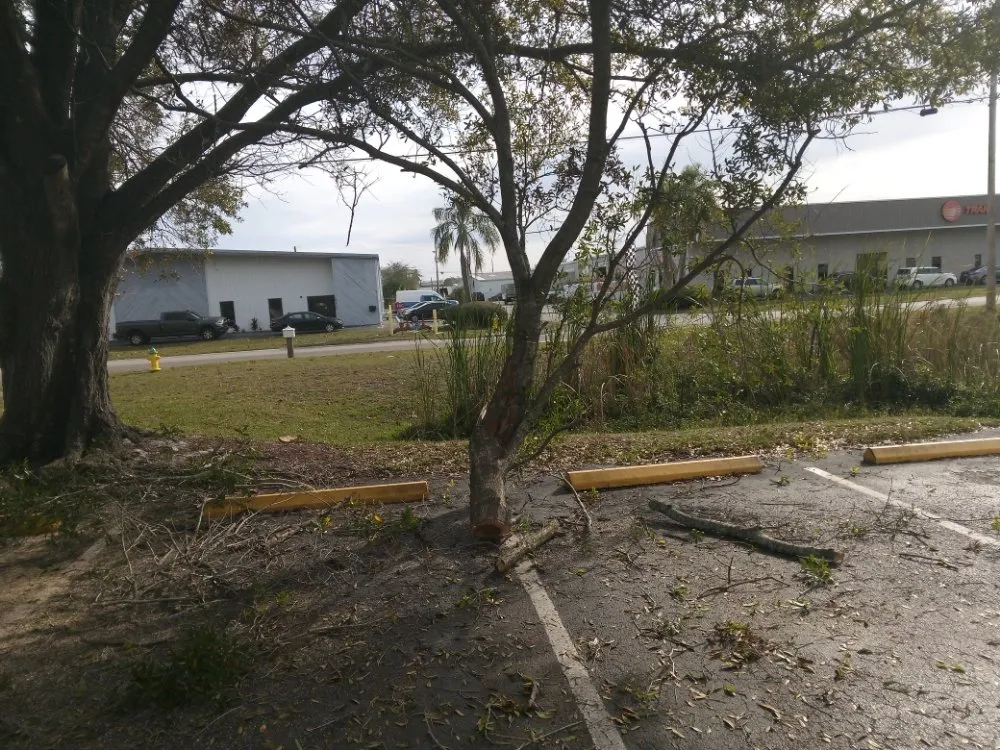 Top-rated lawn mowing service in Clearwater, FL - John's Lawn Services