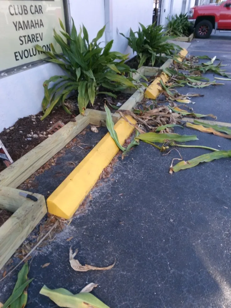 Local yard maintenance in Clearwater, FL by John's Lawn Services