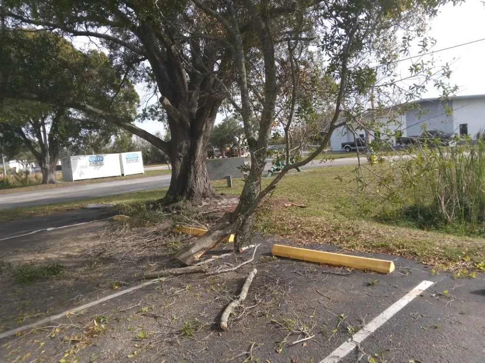 Reliable residential landscaping experts serving Clearwater, FL - John's Lawn Services