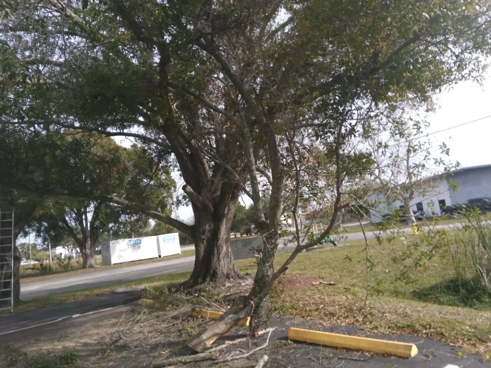 Local landscaping services experts serving Clearwater, FL - John's Lawn Services