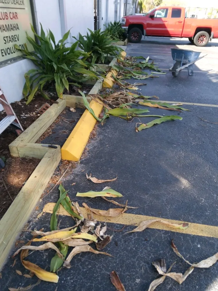 Local landscaping services in Clearwater, FL - John's Lawn Services