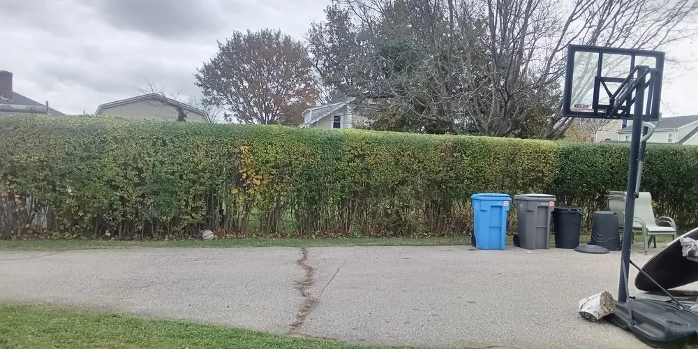 Top-rated landscaping services experts serving Middletown, RI - John's Lawns