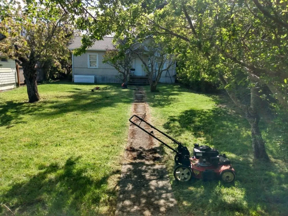 Expert yard maintenance in Vancouver, WA by John's Lawns