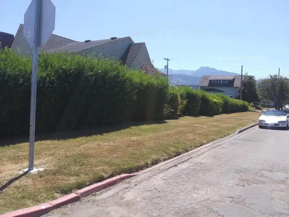 Local lawn mowing service experts serving Vancouver, WA - John's Lawns