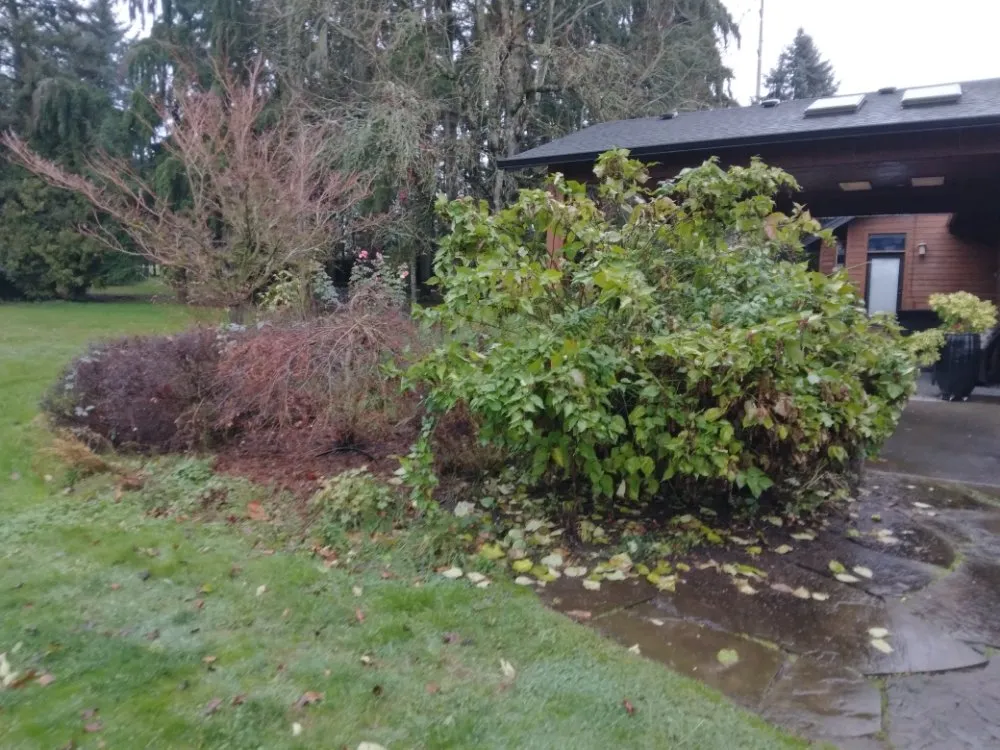 Expert garden landscaping experts serving Vancouver, WA - John's Lawns