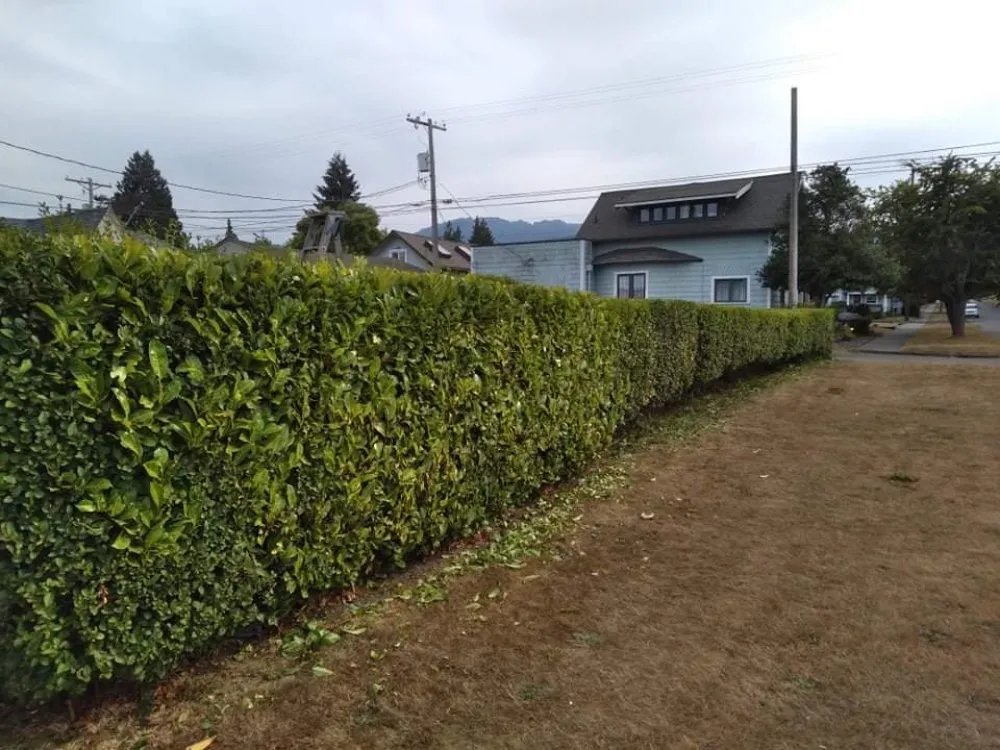 Expert landscape design experts serving Vancouver, WA - John's Lawns