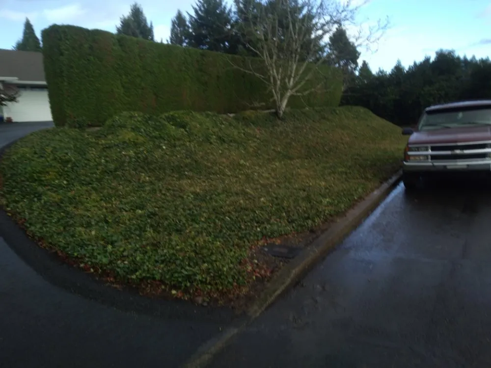 Top-rated landscaping services in Vancouver, WA by John's Lawns