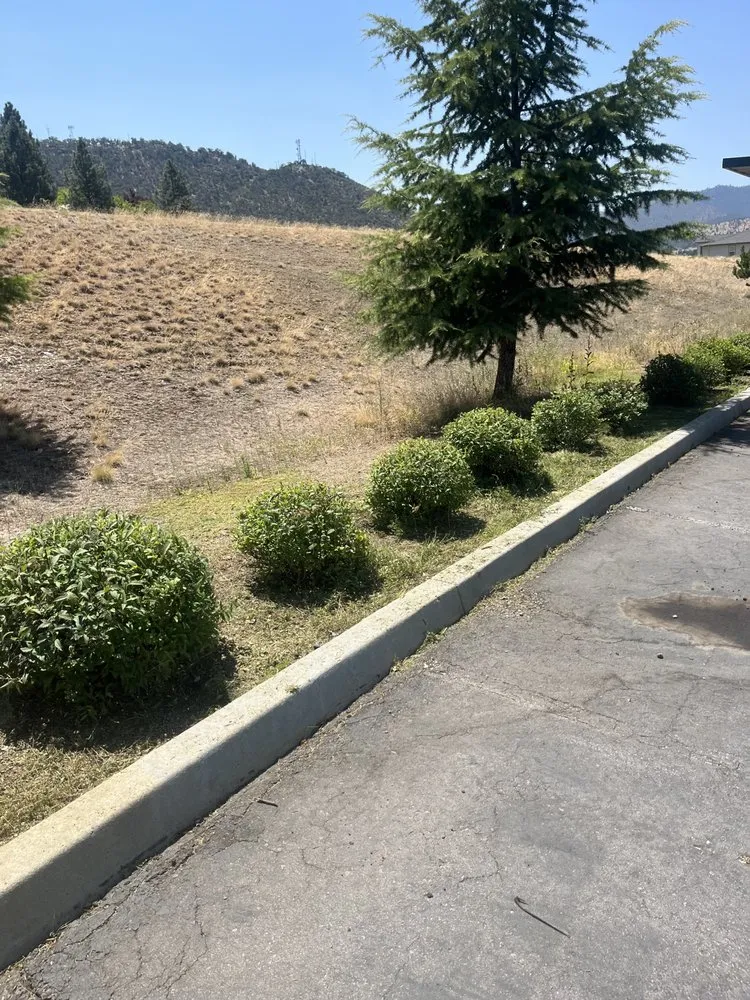 Trusted yard maintenance near you across Weed, CA - John’s lawns