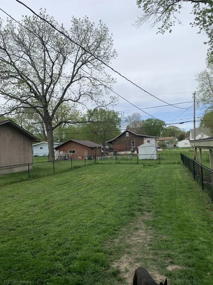 Reliable lawn care service near you in Evansdale, IA by John’s Local Mowing