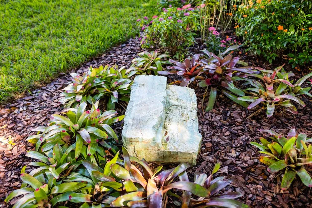 Top-rated lawn mowing service in Tampa, FL - Johns Palms Landscaping