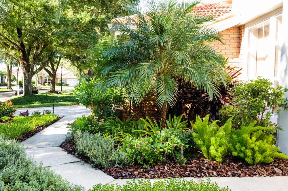 Trusted yard maintenance in Tampa, FL by Johns Palms Landscaping