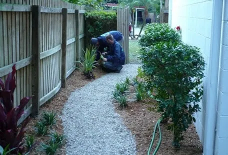 Affordable landscape installation for homes in Tampa, FL by Johns Palms Landscaping