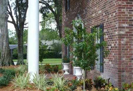 Affordable landscape installation in Tampa, FL - Johns Palms Landscaping