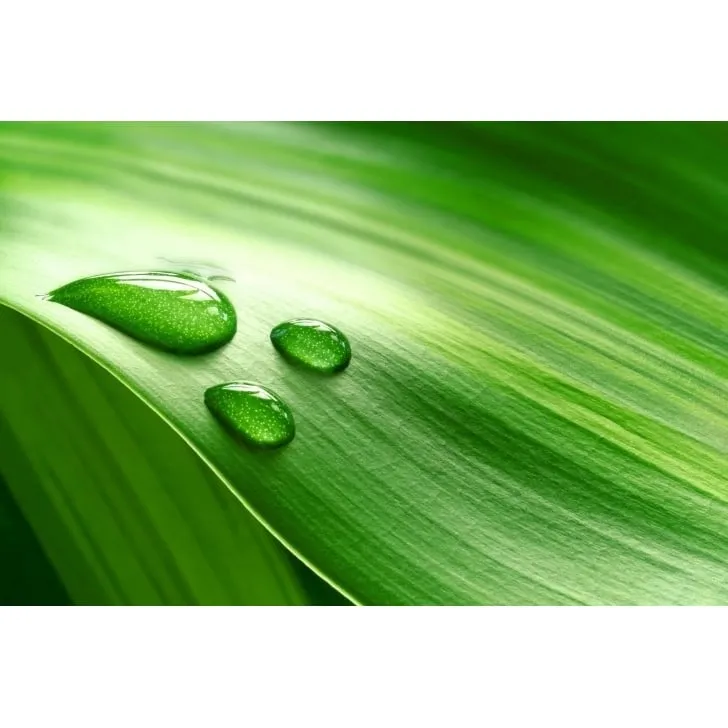 Trusted lawn mowing service experts serving Tampa, FL - Johns Palms Landscaping