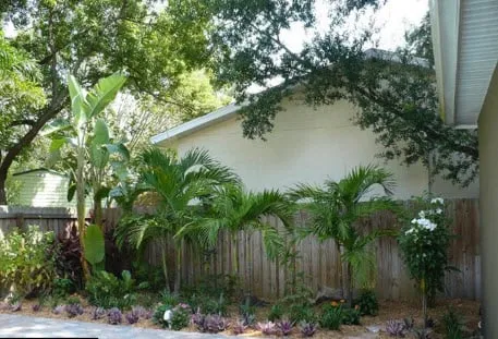 Local landscape installation experts serving Tampa, FL - Johns Palms Landscaping