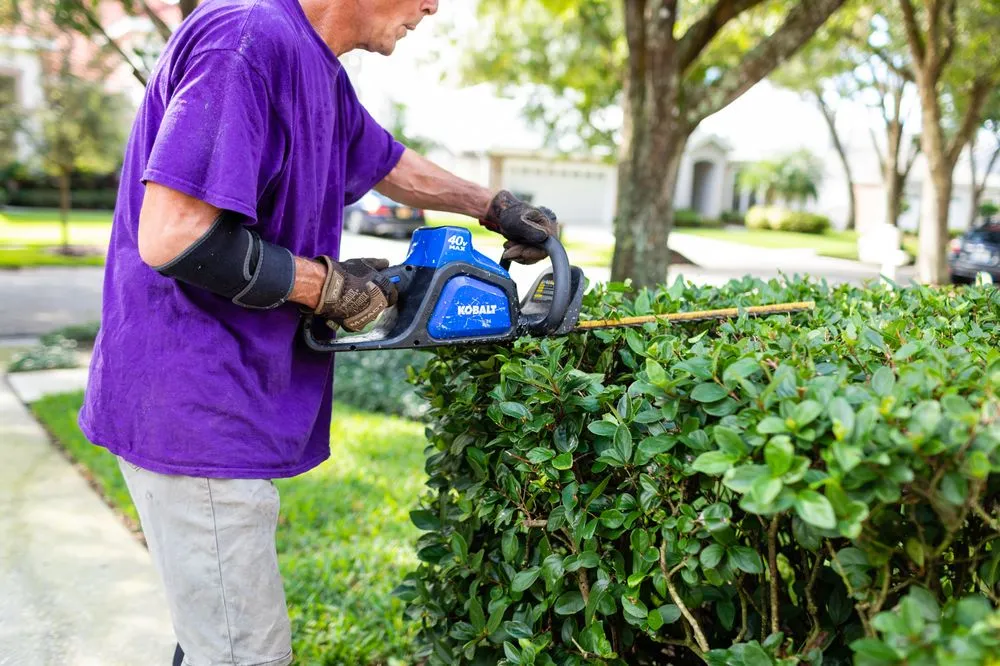 Professional yard cleanup service for beautiful yards in Tampa, FL by Johns Palms Landscaping