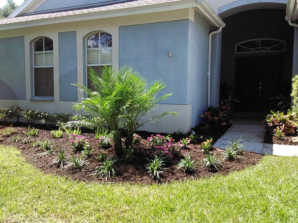 Local landscape design in Tampa, FL - Johns Palms Landscaping