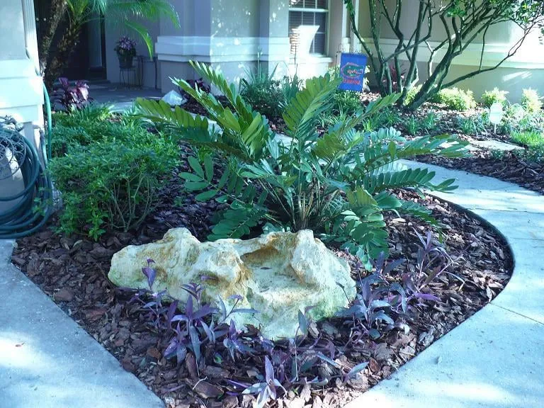 Trusted lawn care service in Tampa, FL - Johns Palms Landscaping