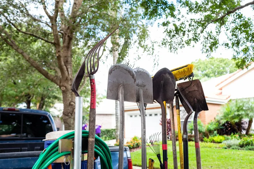 Professional garden landscaping in Tampa, FL by Johns Palms Landscaping