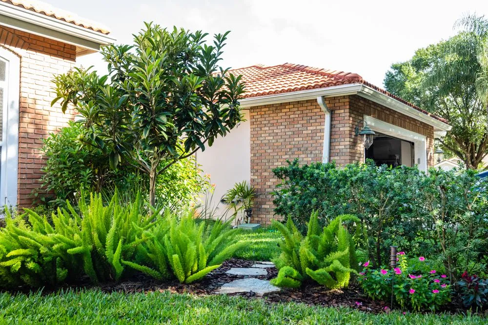 Reliable outdoor landscaping in Tampa, FL by Johns Palms Landscaping