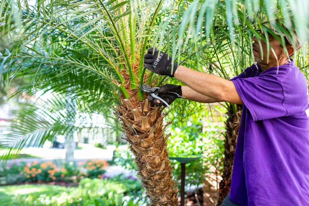 Reliable garden landscaping for year-round maintenance across Tampa, FL - Johns Palms Landscaping