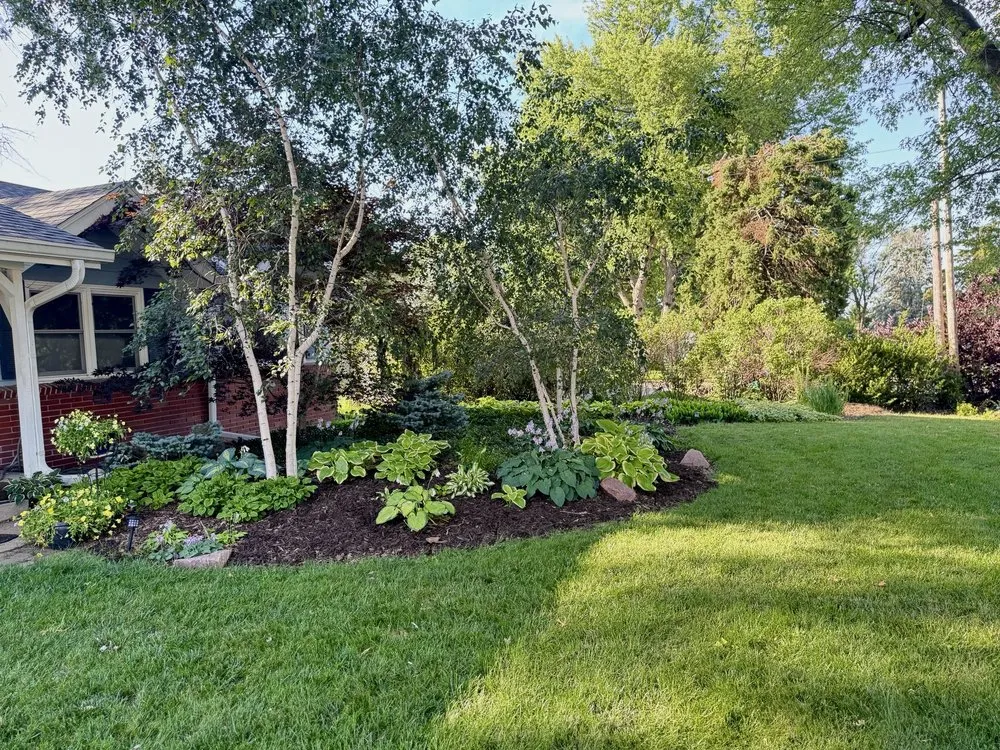 Professional lawn care service in Omaha, NE - John's Professional Weeding Service