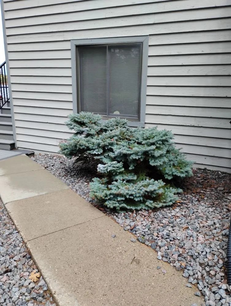 Expert outdoor landscaping experts serving Wisconsin Dells, WI - John's Property Care