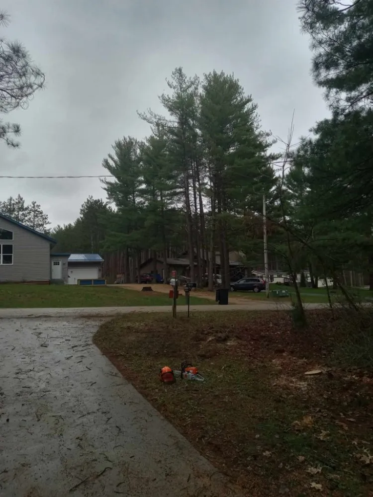 Top-rated residential landscaping for beautiful yards across Wisconsin Dells, WI - John's Property Care