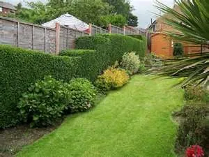 Reliable lawn care service for homes in San Diego, CA by John's Quality Gardening