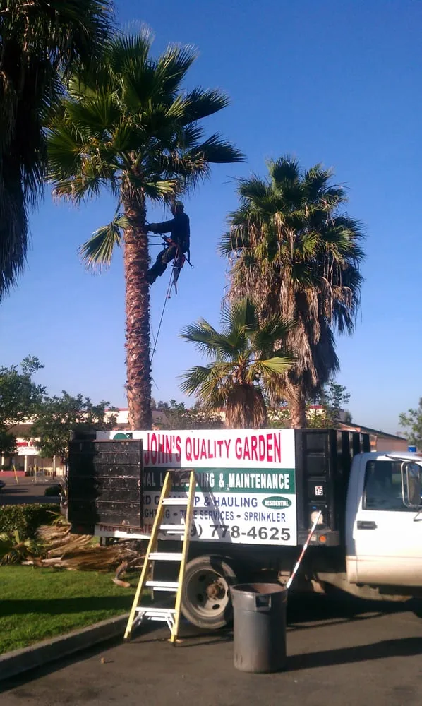 Top-rated landscaping services in San Diego, CA - John's Quality Gardening