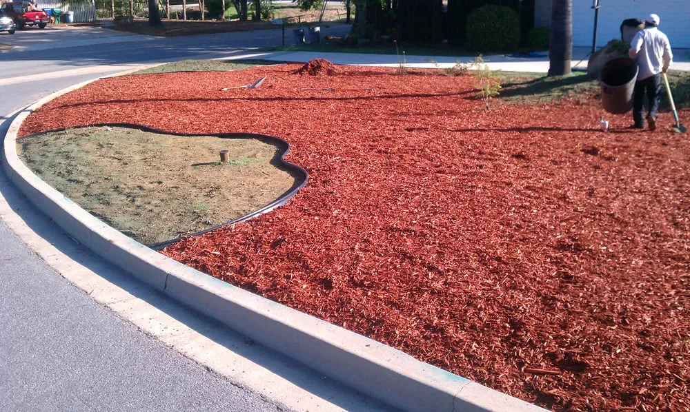 Professional landscaping services for year-round maintenance across San Diego, CA - John's Quality Gardening