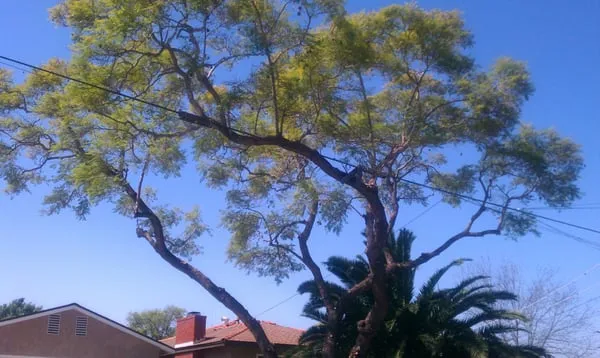 John's Quality Gardening Logo