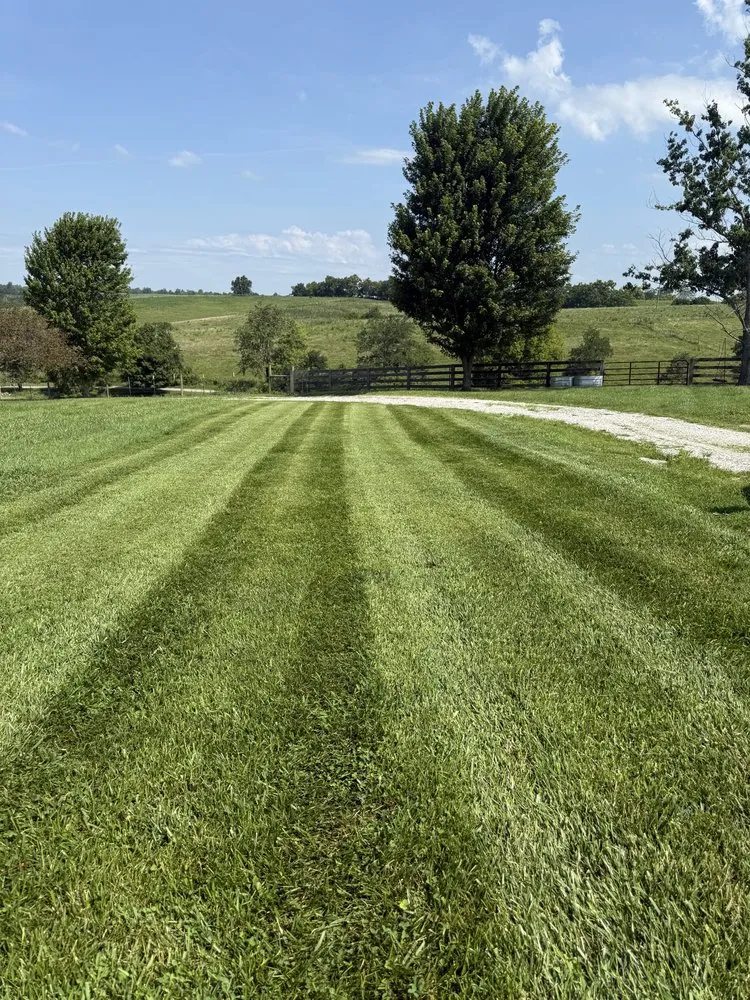 Local lawn care service experts serving Mount Vernon, KY - John’s Scrap and Trash Removal