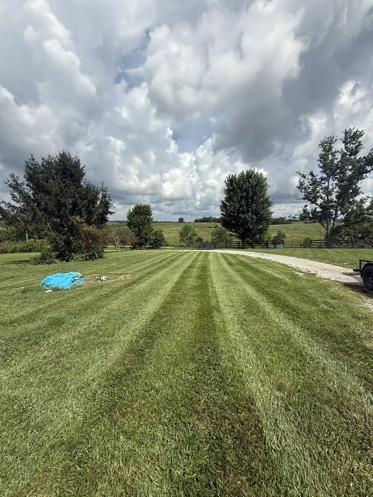 Professional landscaping services for year-round maintenance in Mount Vernon, KY by John’s Scrap and Trash Removal