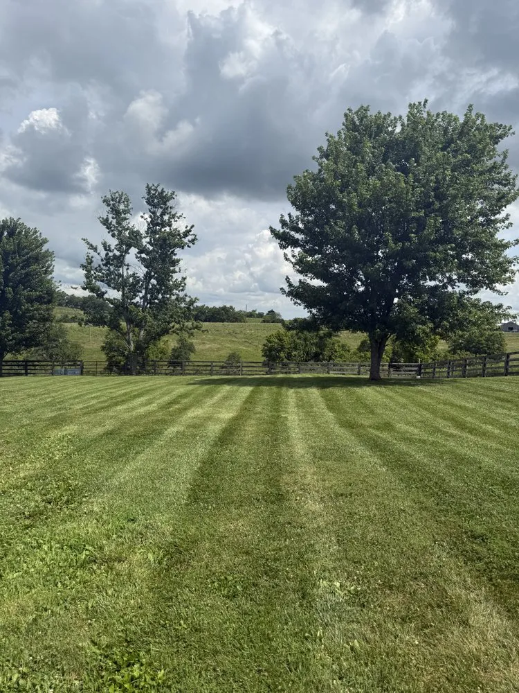 Top-rated lawn mowing service near you in Mount Vernon, KY by John’s Scrap and Trash Removal