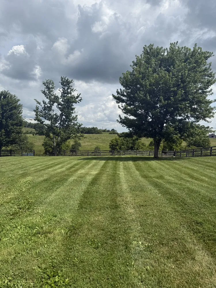 Reliable landscape design for residential properties across Mount Vernon, KY - John’s Scrap and Trash Removal