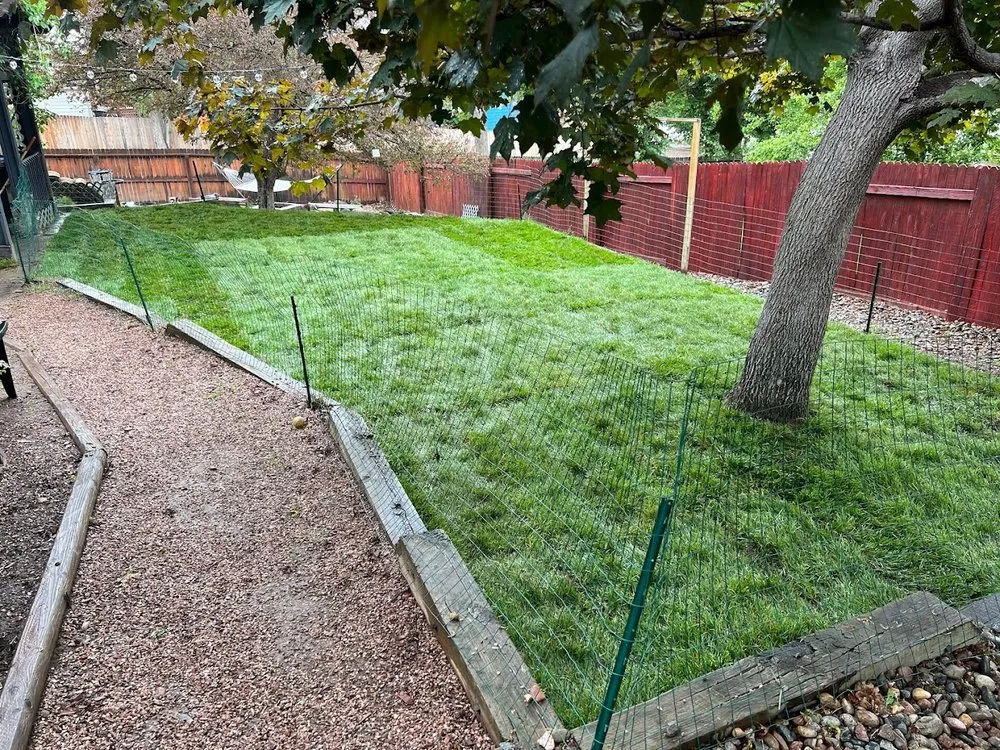 Reliable outdoor landscaping near you in Colorado Springs, CO by John's Sod Shack